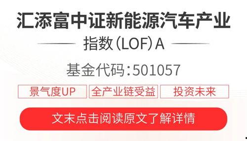 热门大瓜热心的朝阳爆料 2025社会热点话题,揭秘未来社会热点大事件背后的朝阳爆料