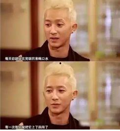 明星黑料被澄清后能洗白吗 社会热点话题事件素材,明星洗白之路的启示与反思